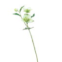 【造花 アーティフィシャルフラワー】クリスマスローズ×2 つぼみ×1 クリームグリーン a-31116-053a 【ascaアスカ】