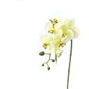 【造花 アーティフィシャルフラワー】コチョウラン(S)×6 つぼみ×5 クリームグリーン a-31257-053a 【ascaアスカ】