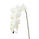 【造花 アーティフィシャルフラワー】コチョウラン(L)×10 つぼみ×1 ホワイト a-31259-001 【ascaアスカ】