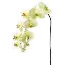 【造花 アーティフィシャルフラワー】コチョウラン(L)×10 つぼみ×1 クリームグリーン a-31259-053a 【ascaアスカ】