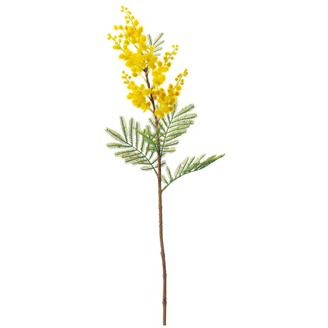 ミモザ イエロ-a-31882-010【ascaアスカ】