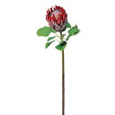 【造花 アーティフィシャルフラワー】プロテア レッド a-32746-002 【ascaアスカ】