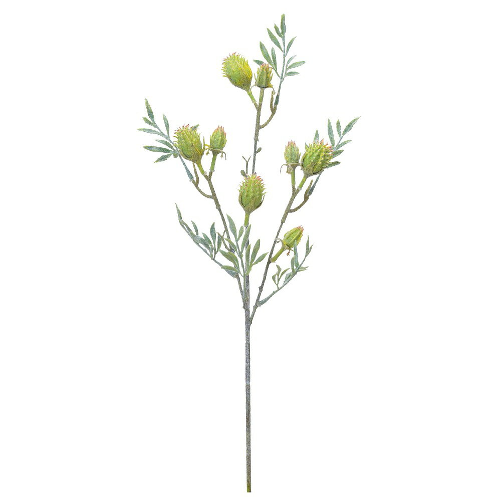 アザミx8 フロストグリ-ンa-33577-051f【ascaアスカ】