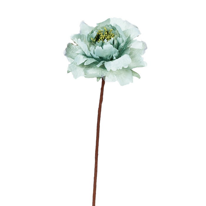 ピオニーピック シ−フォ−ムグリ−ン a-33766-059s 【ascaアスカ】