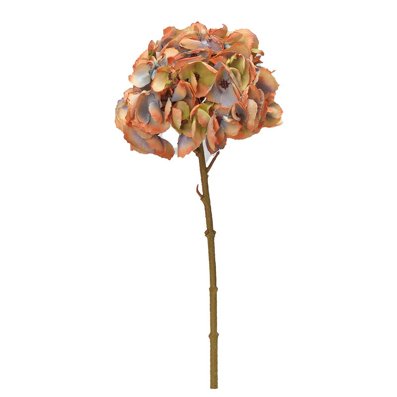 ハイドランジア ラストグリ-ン a-33797-038g 【ascaアスカ】