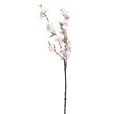 八重桜X57 ツ−トンピンク a-33820-003t 【ascaアスカ】