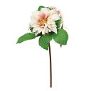 ダリア ホワイトエッグプラント a-33996-001e 【ascaアスカ】