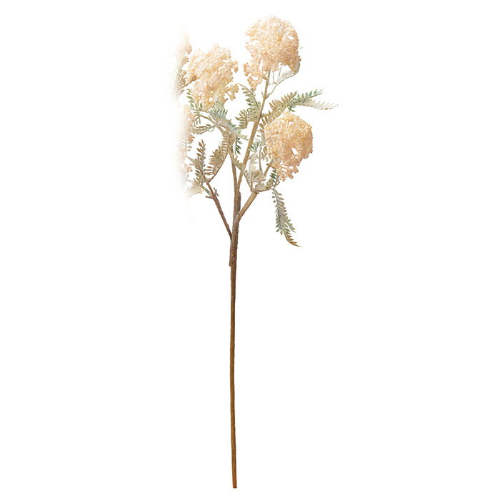 ノコギリソウX3 クリ−ムホワイト a-34110-011 【ascaアスカ】