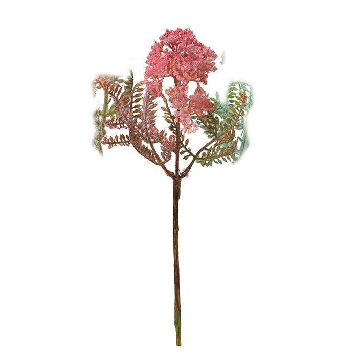 ノコギリソウ フッシャ a-34135-026 【ascaアスカ】