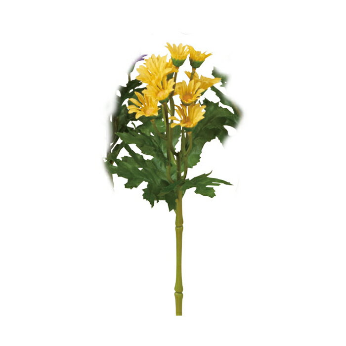 小菊 イエロ- a-34263-010 【ascaアスカ】