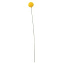 【造花 アーティフィシャルフラワー】クラスペディア イエロ− a-34386-010 【ascaアスカ】