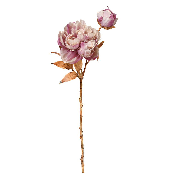 【造花 アーティフィシャルフラワー】ピオニー×1 つぼみ×1 パ-プルクリ-ム a-34499-007c 【ascaアスカ】