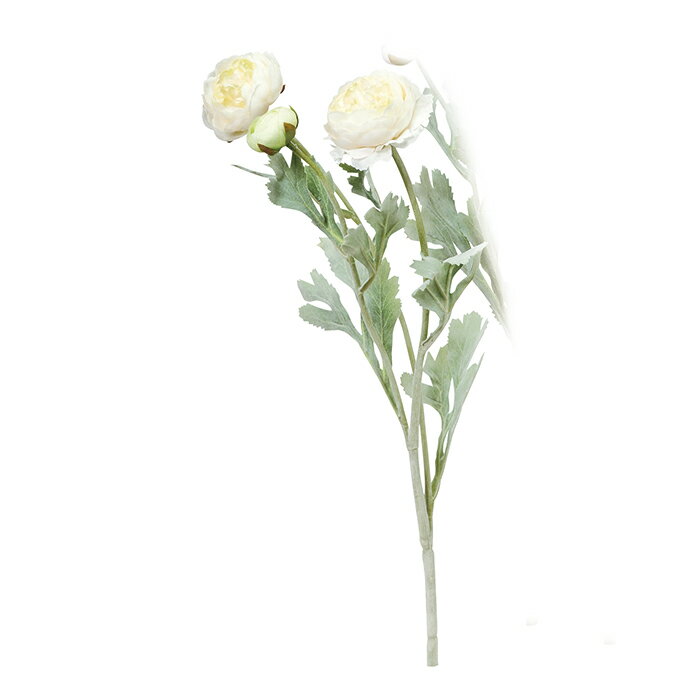 【造花 アーティフィシャルフラワー】ラナンキュラス×2　つぼみ×1 クリ−ムホワイト a-34645-011 【asca..