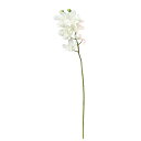 【造花 アーティフィシャルフラワー】デンファレ×7 つぼみ×2 ホワイト a-34675-001 【ascaアスカ】