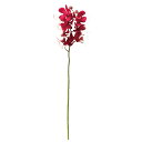 【造花 アーティフィシャルフラワー】デンファレ×7 つぼみ×2 ビュ−ティ a-34675-022 【ascaアスカ】