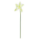 【造花 アーティフィシャルフラワー】カトレア ホワイトグリ−ン a-34983-052 【ascaアスカ】