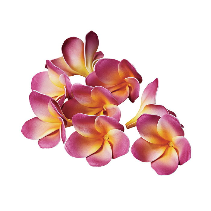 【造花 アーティフィシャルフラワー】プルメリア（1袋8輪入） ピンク a-35030-003 【ascaアスカ】