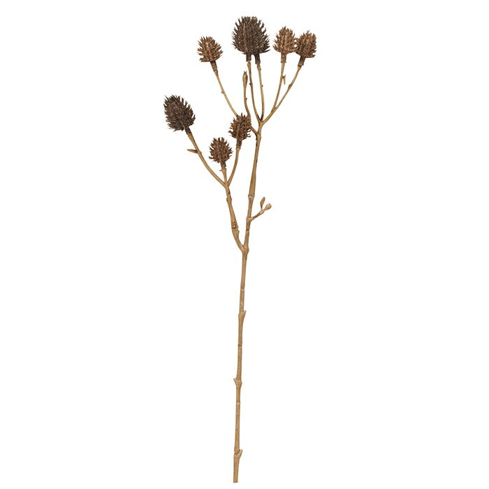 造花 アーティフィシャルフラワー エリンジウムピック×8 ダ-クブラウン a-34412-028d 【ascaアスカ】