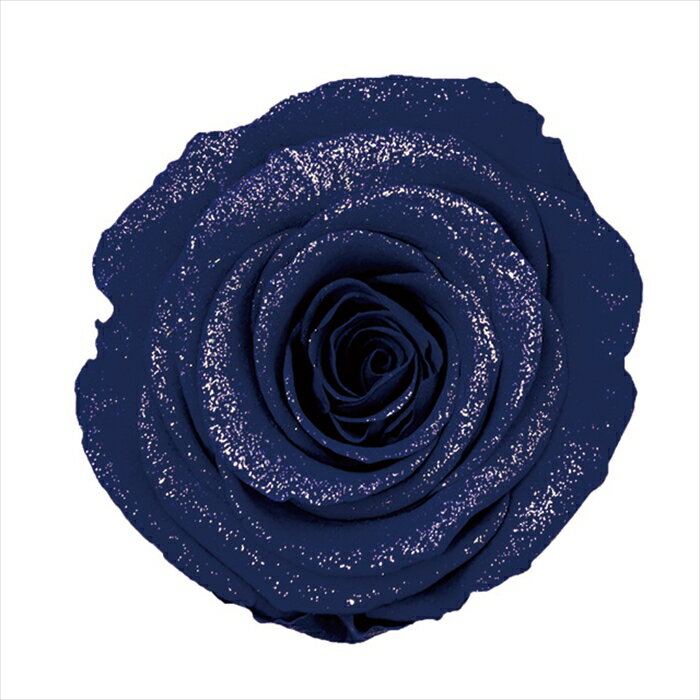 ダイヤモンド－モダン85－E黒　エクセレントブルー dd001216-061 ローズ　バラ