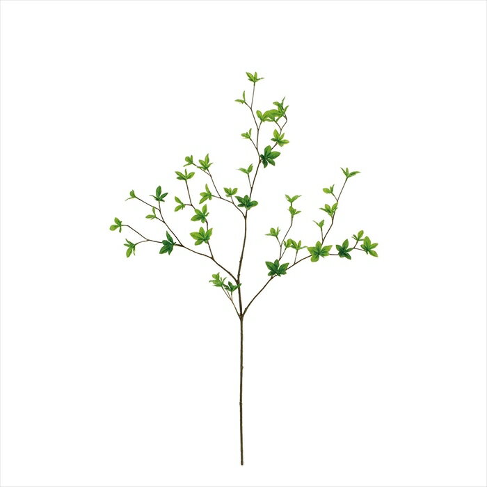 ドウダンツツジ枝　小　GREEN fg007201-zzz 花葉付き枝もの【東京堂】のサムネイル