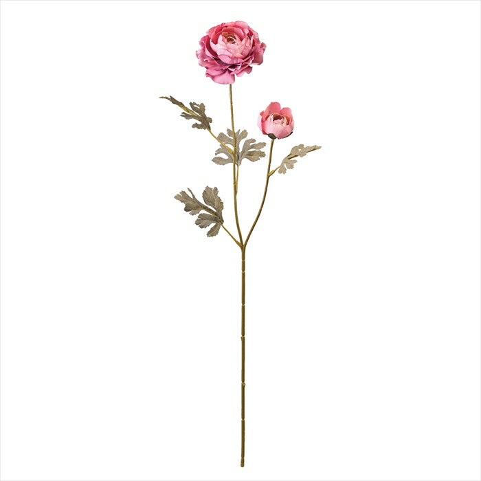 エマーブルラナンキュラス　＃52　HT．PK fm300507-052 ラナンキュラス【東京堂】