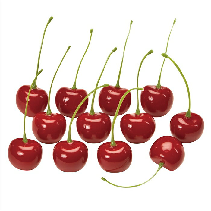 チェリー　RED fv003760-zzz 果物その他【東京堂】