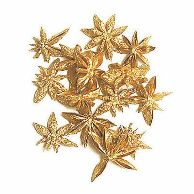 【実もの　カラー】　スターアニス　ゴールド do021020-902 0【東京堂】