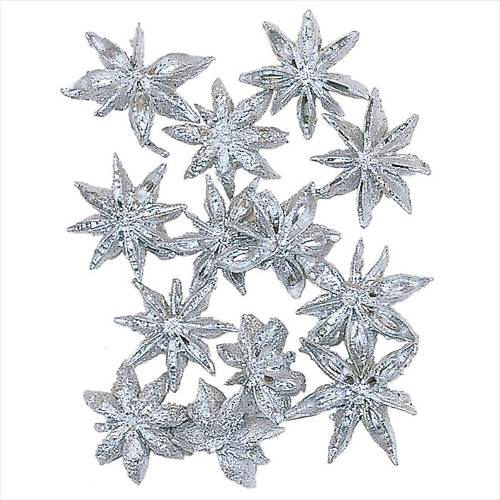 【実もの　カラー】　スターアニス　シルバー do021020-912 0【東京堂】