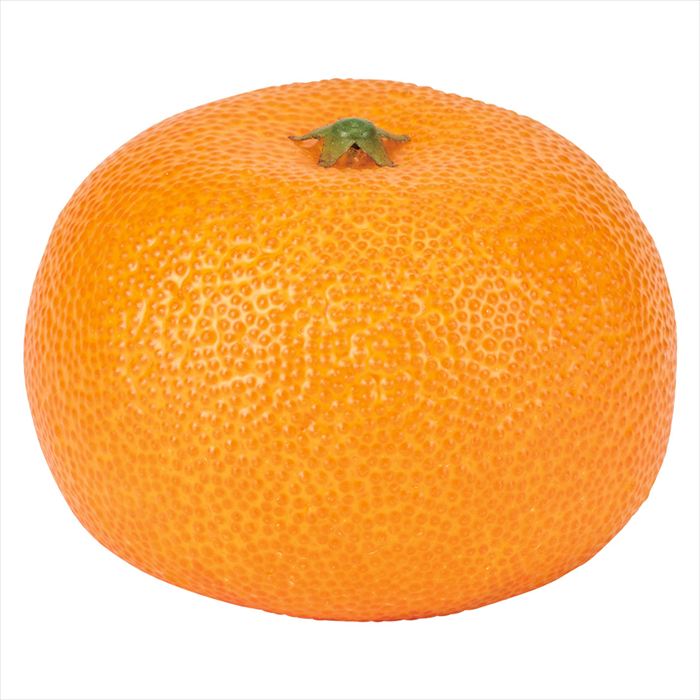 【実もの　果物　野菜　パン　果物その他】　ミカン　ORANGE fv003156-zzz 0【東京堂】