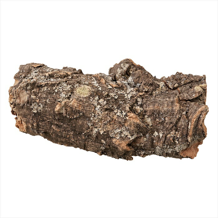 【ドライフラワー　ナチュラル素材　ベース　完成品】　コルクディスプレイ大　 dc000040-zzz その他【..