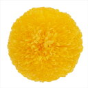 【プリザーブドフラワー フラワー(プリザーブド)】 ポンポン菊・ミディ イエロー do002646-500 マム 菊【東京堂】