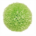 【プリザーブドフラワー フラワー(プリザーブド)】 ポンポン菊・ミディー グリーン do002646-700 マム 菊【東京堂】