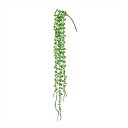 【アーティフィシャルフラワー 造花 グリーン リーフ 多肉植物】 グリーンネックレス #GREEN fg000432-zzz ハートカズラ エンジェルリーフ【東京堂】