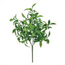 【アーティフィシャルフラワー 造花 グリーン リーフ 多肉植物】 ルスカスミニブッシュ #24 GREEN fg000575-024 ミニリーフ【東京堂】
