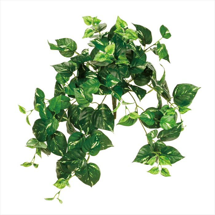 【アーティフィシャルフラワー　造花　グリーン　リーフ　多肉植物】　エクステリアポトスバイン　＃24　GREEN fg000818-024 ポトス【東京堂】