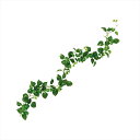 【アーティフィシャルフラワー 造花 グリーン リーフ 多肉植物】 エクステリアポトスガーランド #24 GREEN fg000819-024 ポトス【東京堂】