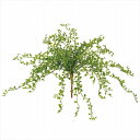 【アーティフィシャルフラワー 造花 グリーン リーフ 多肉植物】 ワイヤープランツブッシュ GREEN fg001834-zzz ミニリーフ【東京堂】