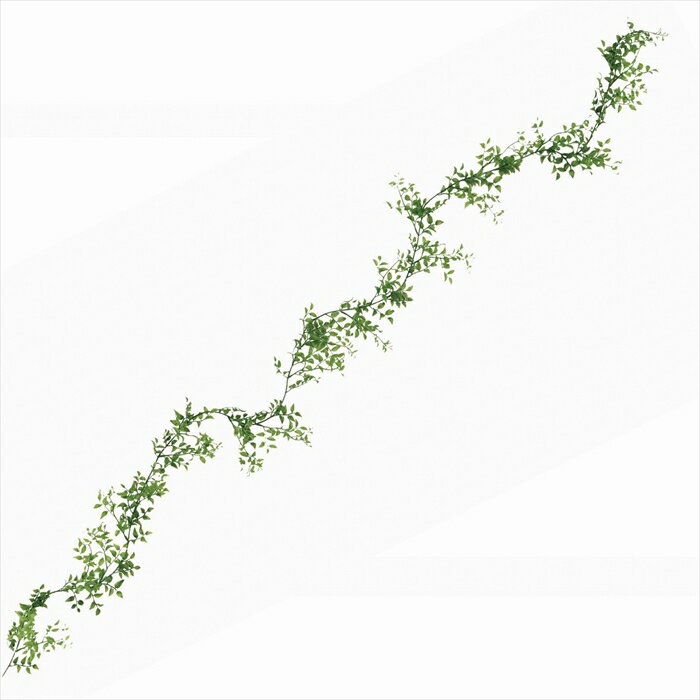 ڥƥեե¤֡꡼󡡥꡼ա¿ʪۡޥåɡGREEN fg003404-zzz ޥ...