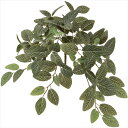 【アーティフィシャルフラワー 造花 グリーン リーフ 多肉植物】 フィットニアバイン GREEN fg006344-zzz フィットニア【東京堂】