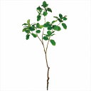 【アーティフィシャルフラワー 造花 枝もの】 マグノリアブランチ GREEN fg008165-zzz 花葉付き枝もの【東京堂】