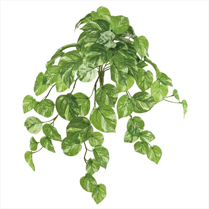 【アーティフィシャルフラワー　造花　グリーン　リーフ　多肉植物】　マーブルポトスバイン　GREEN fg009013-zzz ポトス【東京堂】