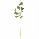 【アーティフィシャルフラワー 造花 グリーン リーフ 多肉植物】 丸葉ユーカリ GREEN fg009683-zzz ユーカリ【東京堂】