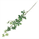 【アーティフィシャルフラワー 造花 グリーン リーフ 多肉植物】 シュガーバイン #23 LT.GR fg009893-023 シュガーバイン【東京堂】