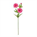 【アーティフィシャルフラワー 造花 フラワー(アーティフィシャル)】 フリンジラナンキュラス #52 BEAUTY fm001123-052 ラナンキュラス【東...