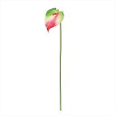 【アーティフィシャルフラワー 造花 フラワー(アーティフィシャル)】 スプレンダアンスリウム M #152 GR/RD fm005173-152 アンスリウム【...