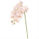 【アーティフィシャルフラワー 造花 フラワー(アーティフィシャル)】 バレリーナファレノM #2 PINK fm000301-002 胡蝶蘭 ファレノ【東京堂...
