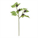 【アーティフィシャルフラワー 造花 実もの 果物 野菜 パン】 ラズベリースプレー #20 BLACK fm000362-020 実もの ベリー(小果実)【東京...
