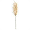 【アーティフィシャルフラワー 造花 フラワー(アーティフィシャル)】 フロッキーパンパス #37 CREAM fm001986-037 すすき パンパス【東京堂】