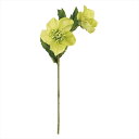 【アーティフィシャルフラワー 造花 フラワー(アーティフィシャル)】 プリムクリスマスローズ #23 LIME fm004440-023 クリスマスローズ【東京...