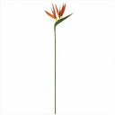 【アーティフィシャルフラワー 造花 フラワー(アーティフィシャル)】 プリマストレチア ORANGE fm004618-zzz トロピカルフラワー【東京堂】